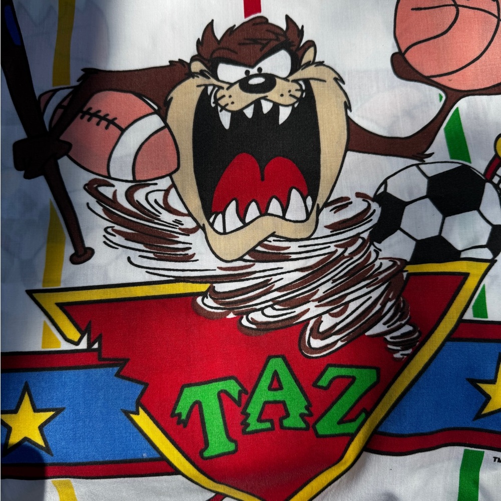 Looney Tunes Taz Twin Bedding